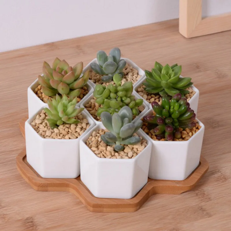 Desk Setup White - Conjunto de vasos de flores hexagonais